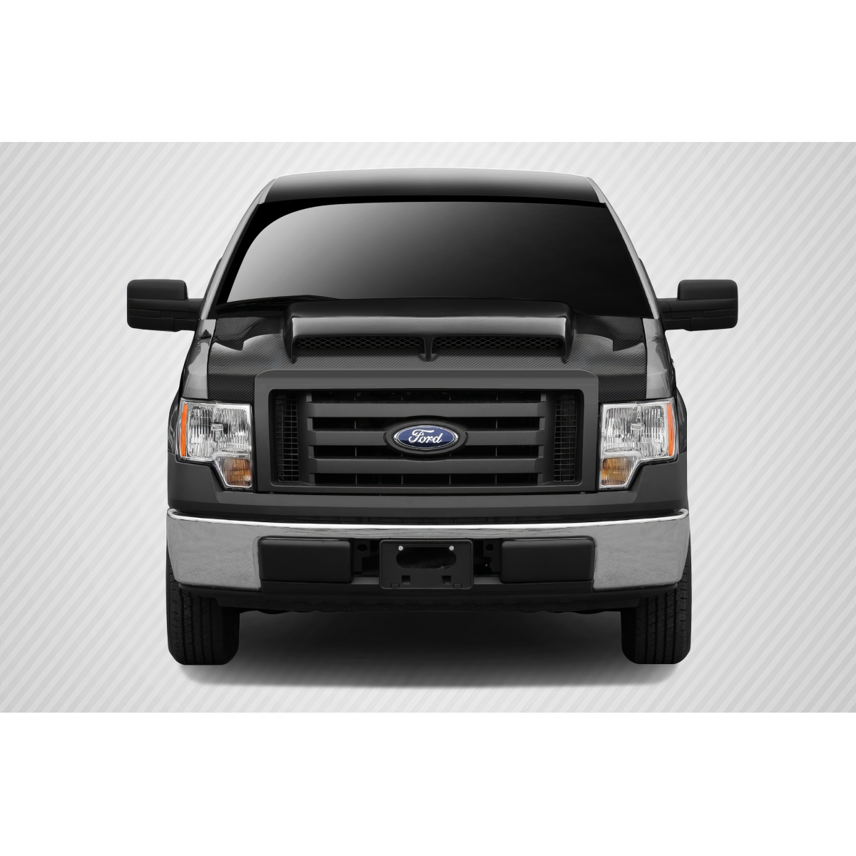 Modify your Ford F-150 2009 with our Exterior/Hoods - Front view of the vehicle at a straight angle