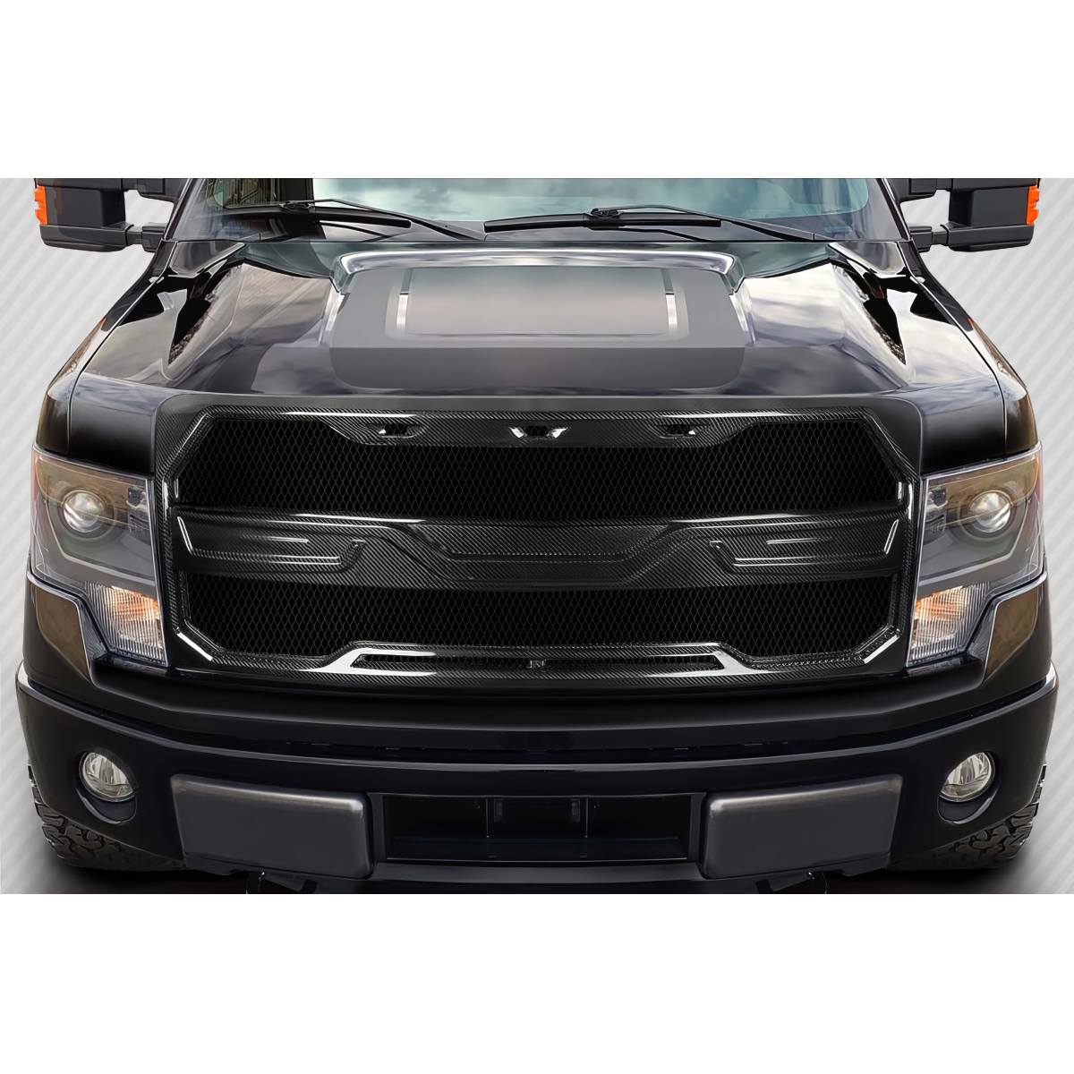 Modify your Ford F-150 2009 with our Exterior/Grilles - Front view of grille at a straight angle