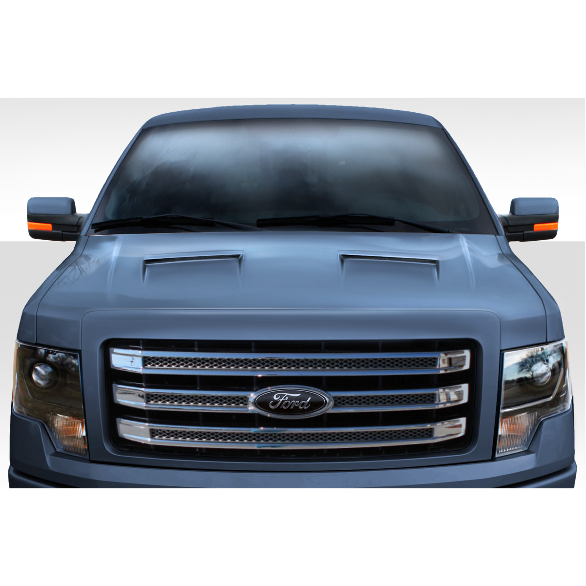 Modify your Ford F-150 2009 with our Exterior/Hoods - Front view of vehicle at eye level angle