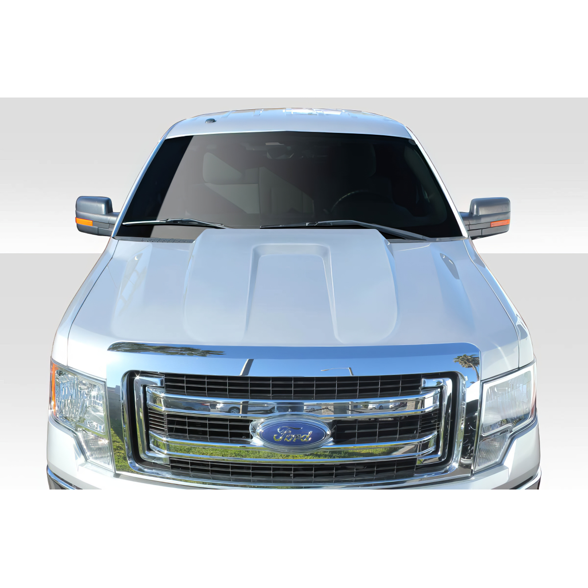 Modify your Ford F-150 2009 with our Exterior/Hoods - Front view of the vehicle at a slight angle