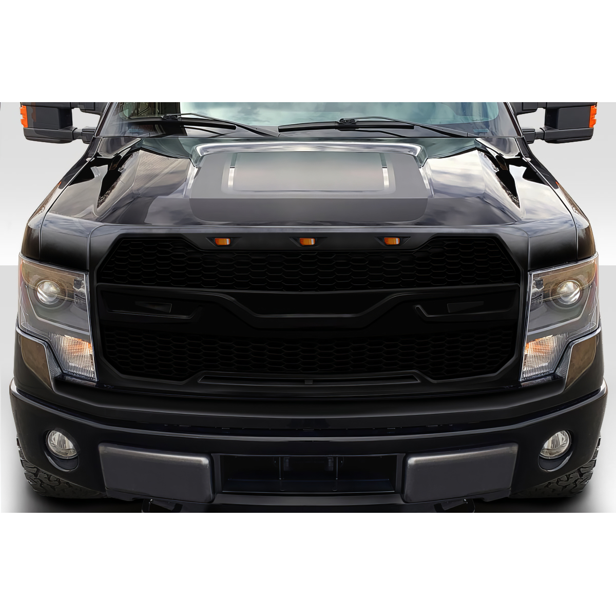 Modify your Ford F-150 2009 with our Exterior/Grilles - Front view of vehicle part at eye level