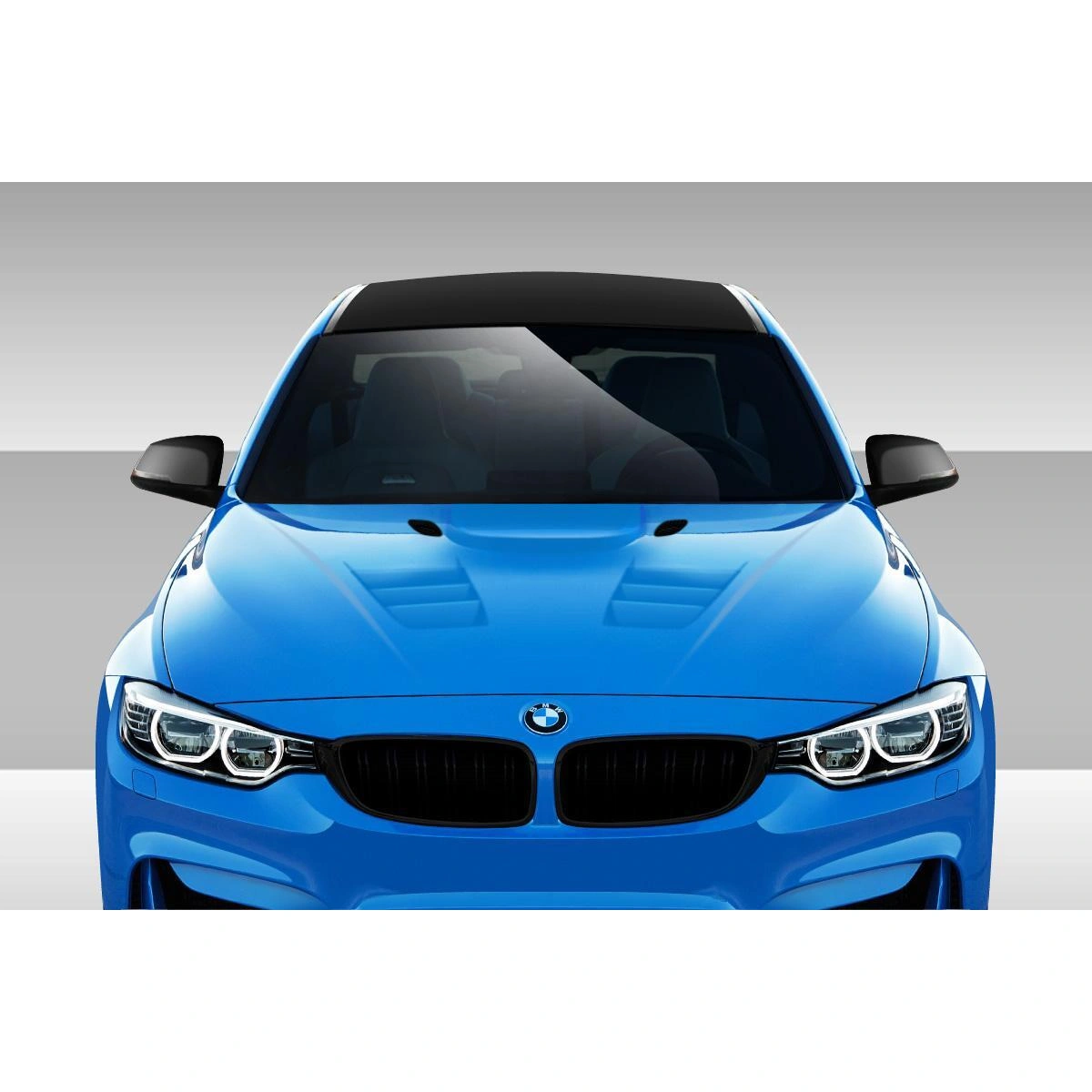 Modify your BMW 3-Series 2012 with our Exterior/Hoods - 3
