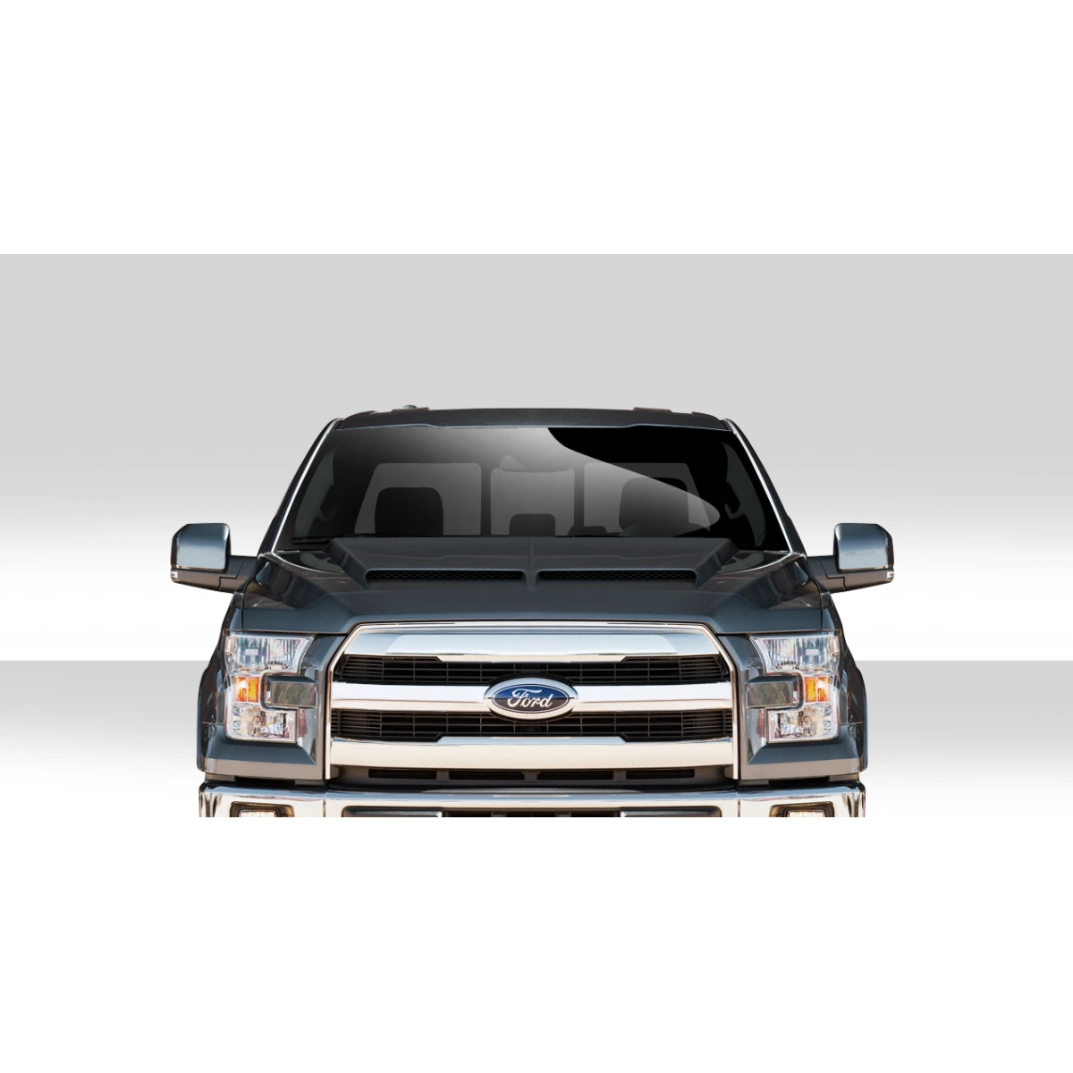 Modify your Ford F-150 2015 with our Exterior/Hoods - 11