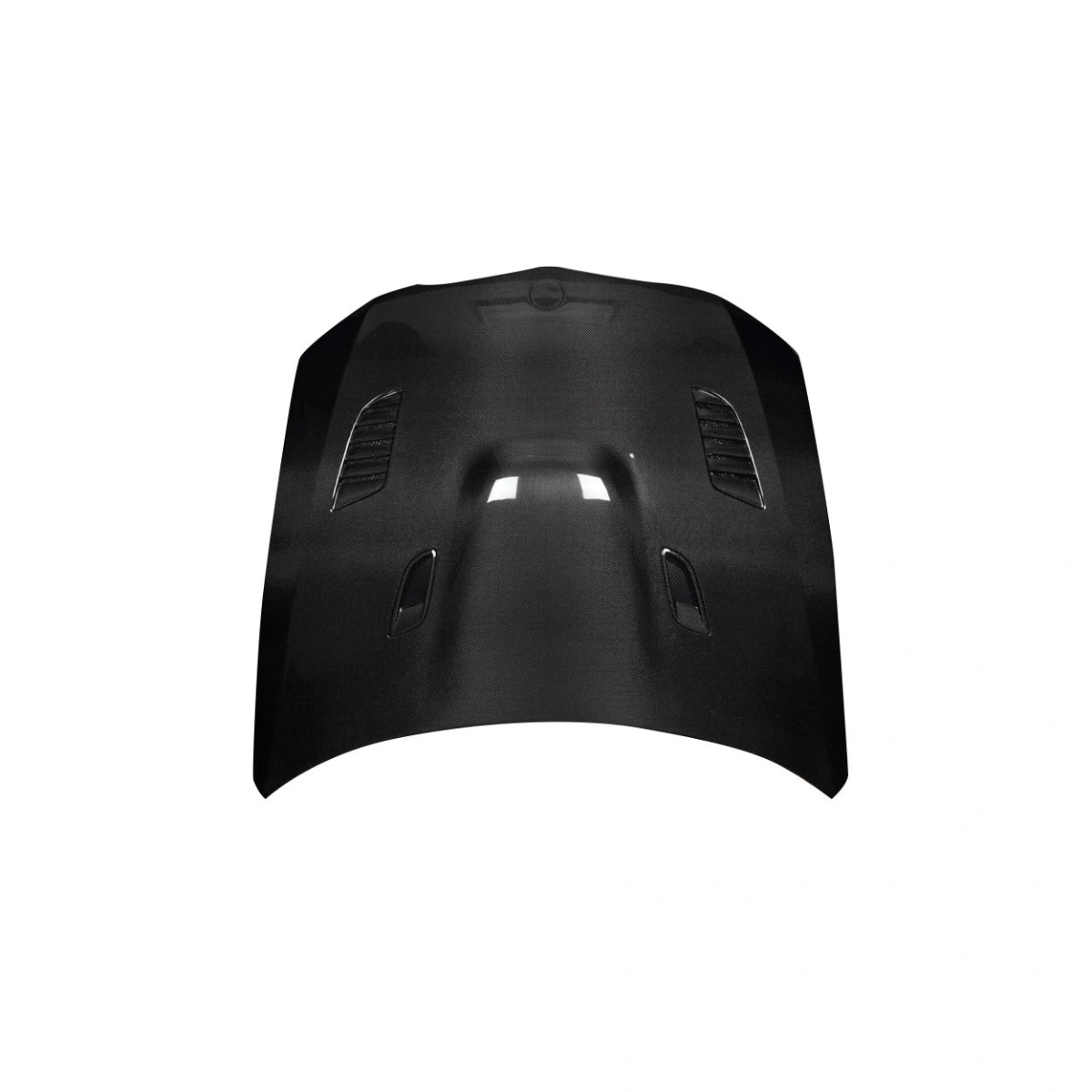 Modify your BMW 3-Series 2009 with our Exterior/Hoods - 4