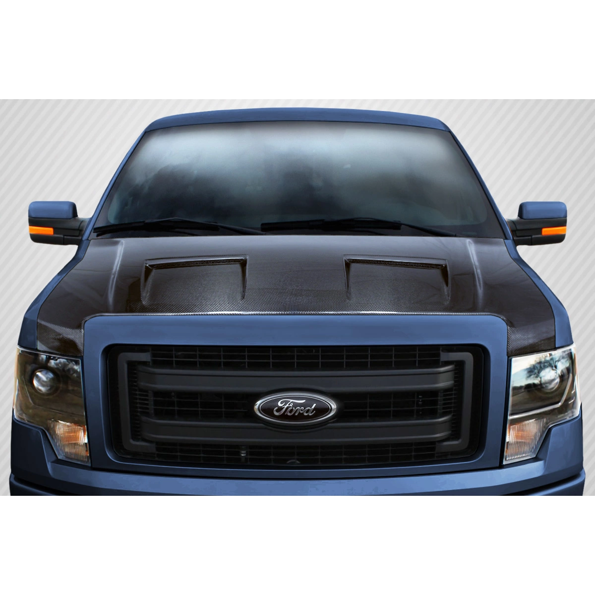 Modify your Ford F-150 2009 with our Exterior/Hoods - 1