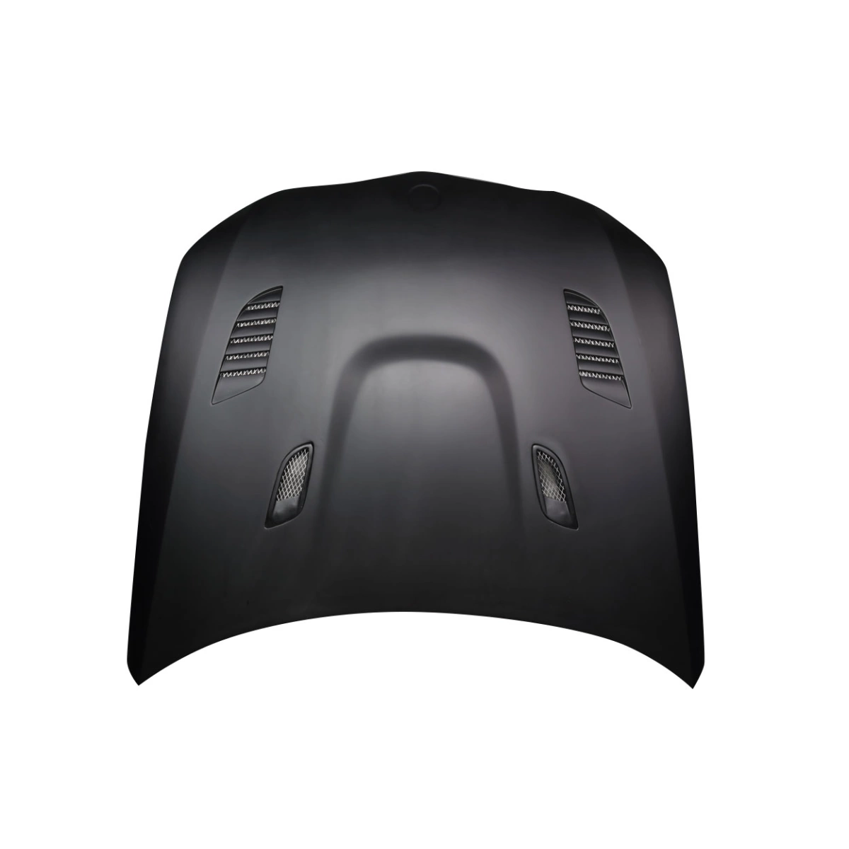 Modify your BMW 3-Series 2009 with our Exterior/Hoods - 6