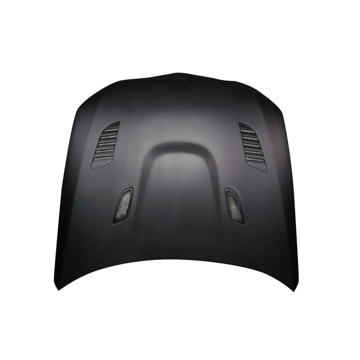 Modify your BMW 3-Series 2009 with our Exterior/Hoods - 13