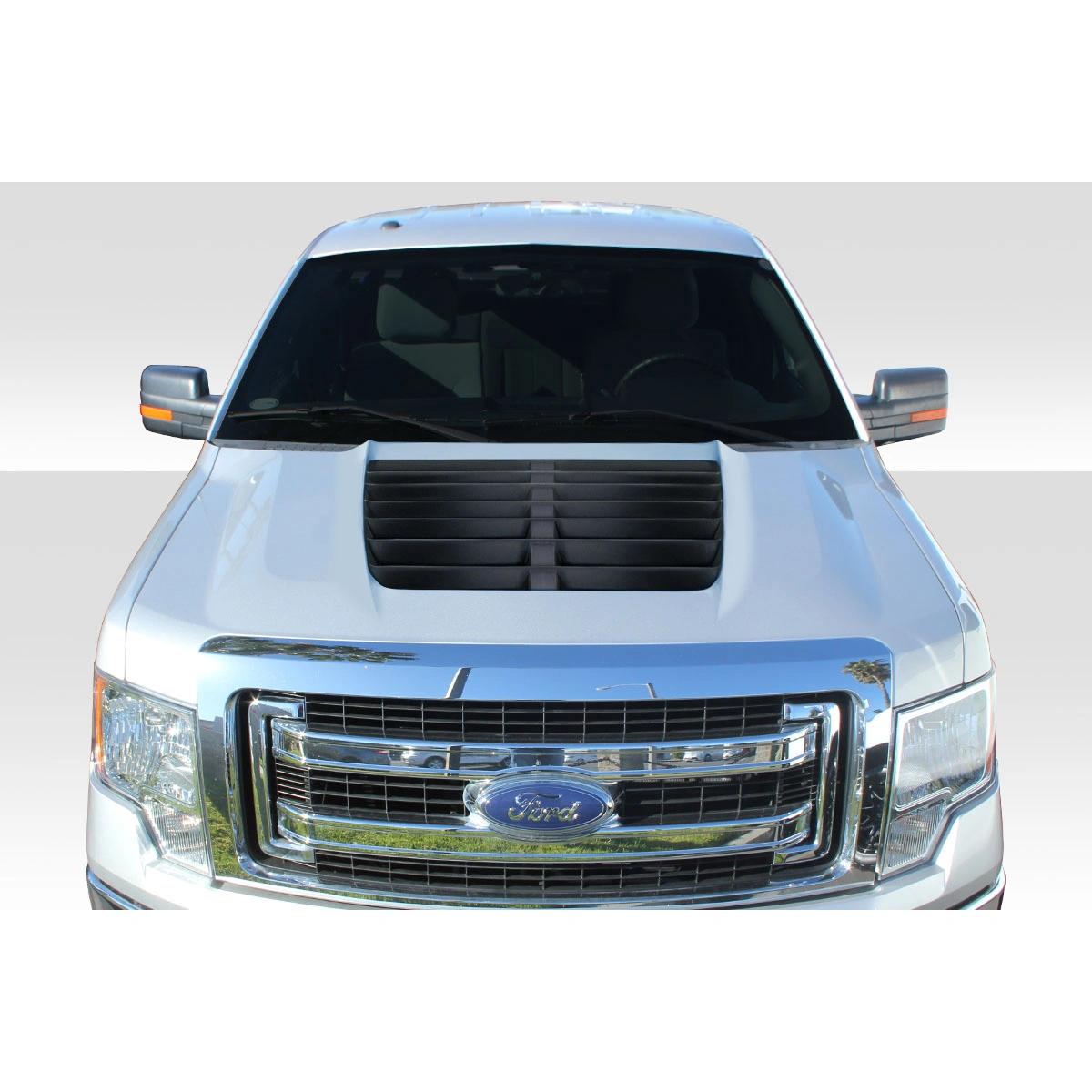 Modify your Ford F-150 2009 with our Exterior/Hoods - 1