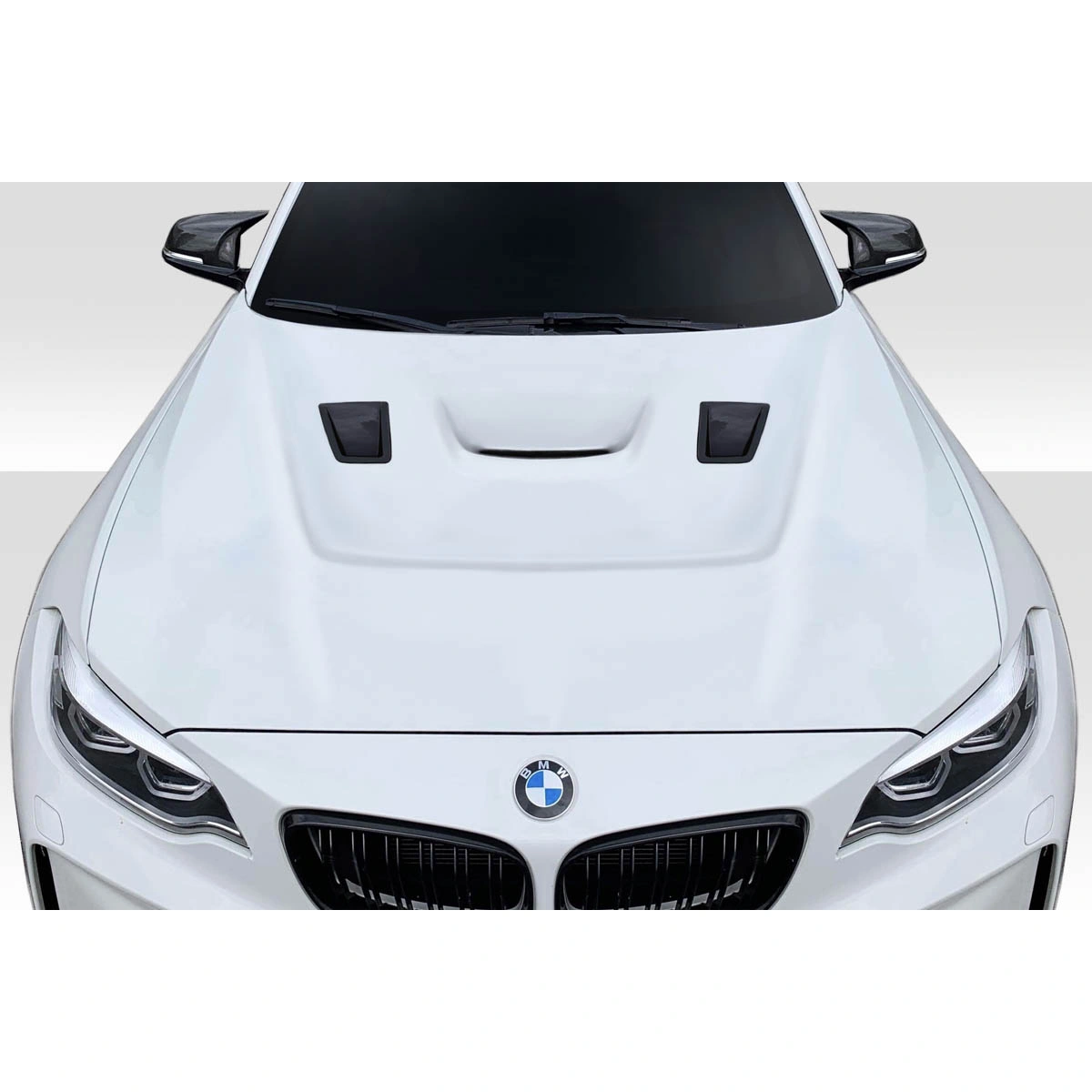 Modify your BMW 2-Series 2014 with our Exterior/Hoods - 1