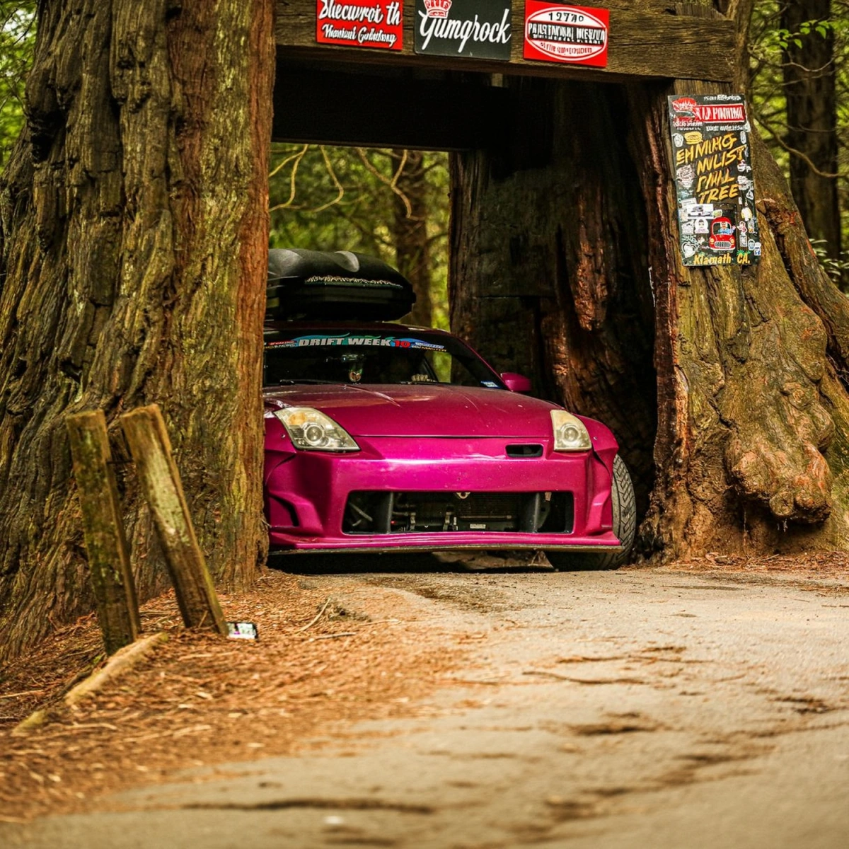 Modify your Nissan 350Z 2003 with our Exterior/Front Bumpers - 13