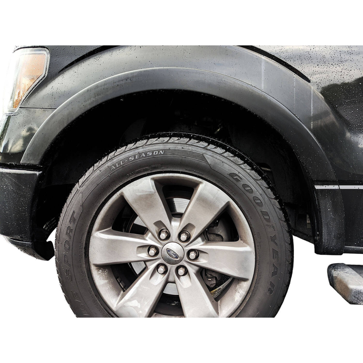 Modify your Ford F-150 2009 with our Exterior/Fenders -